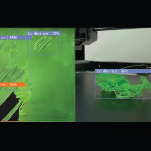 AI Failure Detection